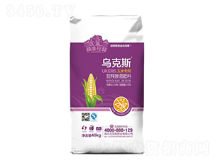 ���׌��ÿ�ጓ������26-12-16-����˹