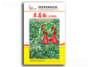 ��ݮ��-�����N��-�r(n��ng)���S�r(n��ng)�I(y��)