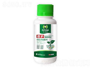 ΢�������-���o-�����