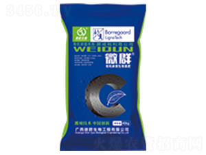 �ЙC(j��)̼΢�������-΢Ⱥ����