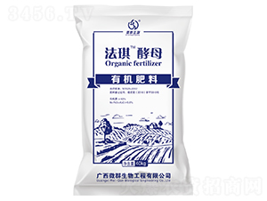 �ЙC(j��)����-��������ĸ-΢Ⱥ����