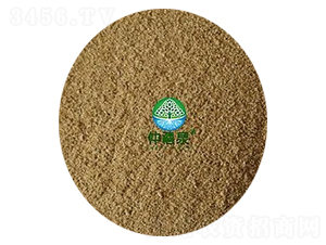 �ݲ�ѿ�ߗU����1000�|-g����ȫ�ܣ�-����Ȫ