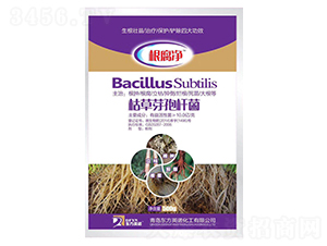 �ݲ�ѿ�ߗU��-������-�_(k��i)��(y��u)�r(n��ng)�I(y��)