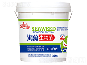 ���������-�w͢�ŵ�-�_(k��i)��(y��u)�r(n��ng)�I(y��)