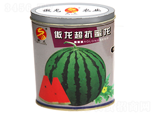 ������������-���ϷN��-����