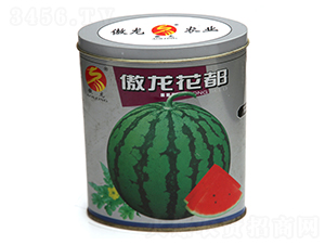 ��������-���ϷN��-����