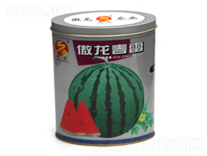 ��������-���ϷN��-����