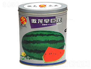 ���������-���ϷN��-����