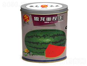 �����ز���-���ϷN��-����