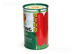 �������-�t�}���N��-����