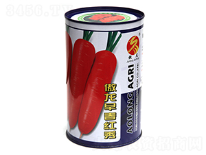 �����紺�t��-�t�}���N��-����