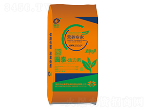 �A̩��������-���\(y��n)��