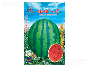 ����̖-���ϷN��-�����r(n��ng)�I(y��)