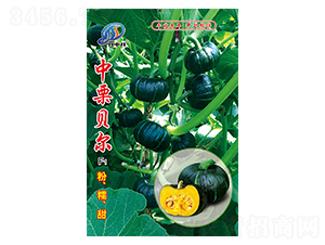 ����ؐ��-�ϹϷN��-�����r(n��ng)�I(y��)