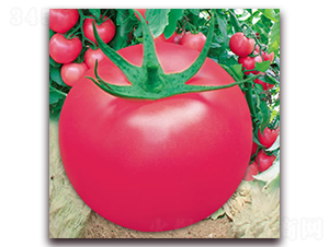 ����302-�۹����ѷN��-����