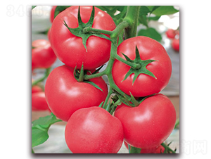 ����308-�۹����ѷN��-����