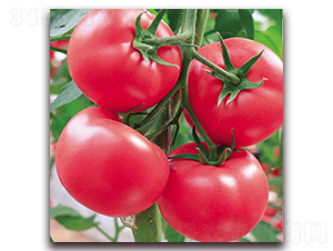 ����309-�۹����ѷN��-����