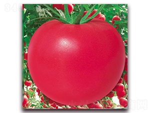 �W��60-�۹����ѷN��-����