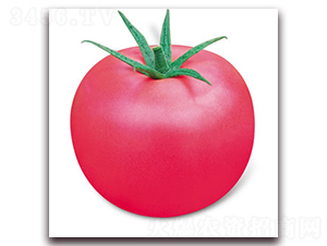 ���m7̖-�۹����ѷN��-����