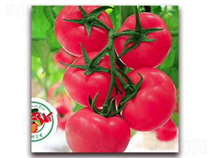 ���-�۹����ѷN��-����