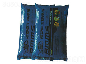 ����⛰���-��ķ˹����