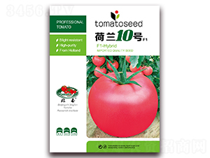 ���m10̖F1-�۹����ѷN��-����