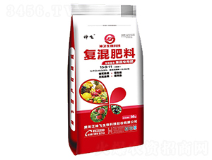 ���ߌ��Ïͻ����15-9-11-���w