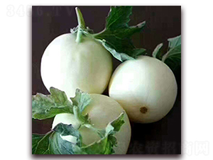 ̩���S��-��ϷN��-��ʢԪ