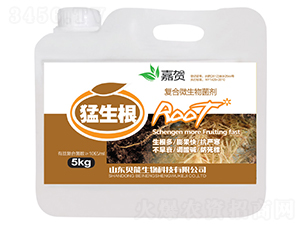 5kg������-���R-ؐ������