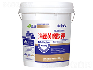 �����S�����-���R-ؐ������