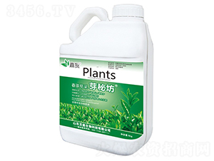 �������ѿ�ط�-���R-ؐ������