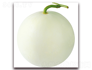 ���ۃ�-��ϷN��-��ʢԪ