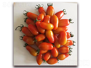 ��ϼ-���ѷN��-��ʢԪ