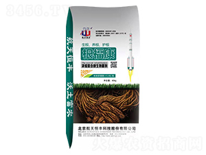 ��s��(f��)��΢�������-������-���A�r(n��ng)