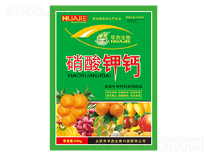 ������}-�A������