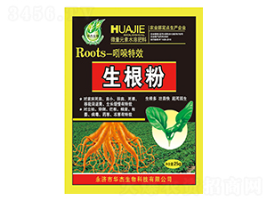 ����������-�A������