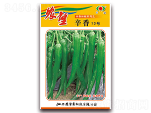 ����13̖(h��o)-�⽷�N��-�r(n��ng)��