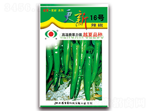 ����16̖(h��o)-�⽷�N��-�r(n��ng)��