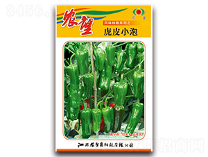 ��ƤС��-�����N��-�r(n��ng)��