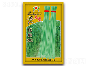 ��(y��u)��202-�����N��-�r(n��ng)��