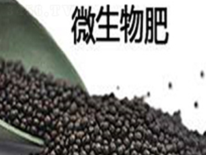 ΢�����-���~��