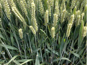 ����2000-С���N��-���\(y��n)�N�I(y��)