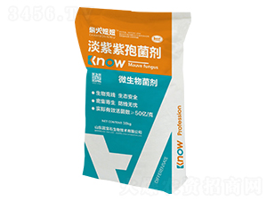 �������߾���-�����-�{��ʯ