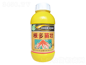 �������-�A������