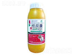 ������-�A������