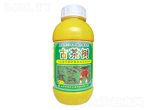 �Ų��(sh��)-�A������