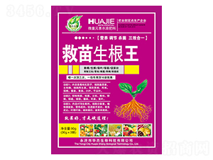 ����������-�A������