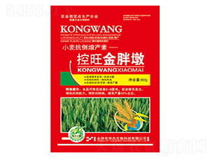 �������ֶ�-�A������