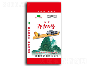 �S�r(n��ng)5̖-С���N��-���S