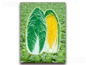 ������-���޲˷N��-���r(n��ng)���v